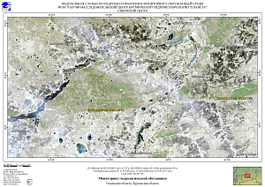 Гидрологическая обстановка на реках Тюменской, Курганской и Свердловской областей по спутниковым данным за 13 апреля 2026 г.